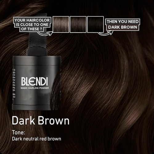 Blendi™ - Hair Root Powder