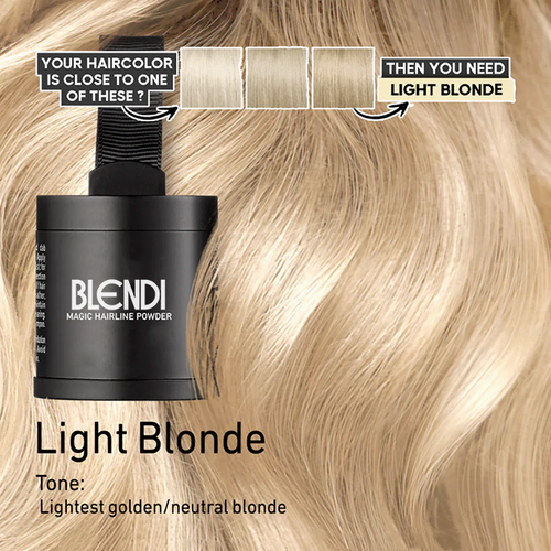 Blendi™ - Hair Root Powder