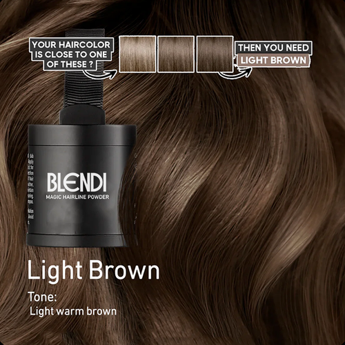 Blendi™ - Hair Root Powder
